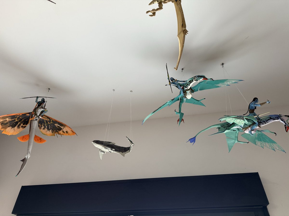 Halle Grosso🦖 tweet media