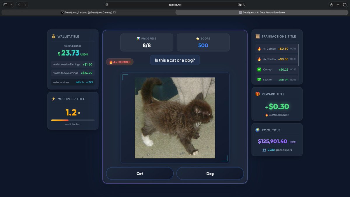 DataQuest_Cardano tweet media