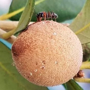 Scott P. Egan tweet media