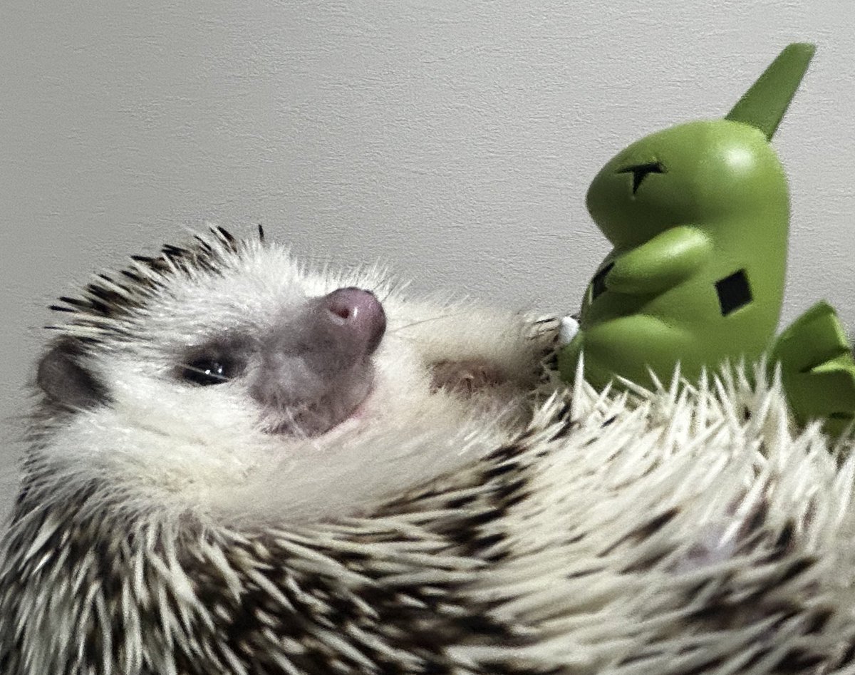 shiritsua 彩ちゃん(@kuroaya_RG ) ポケモンの師匠……!!!!!! 多分彩