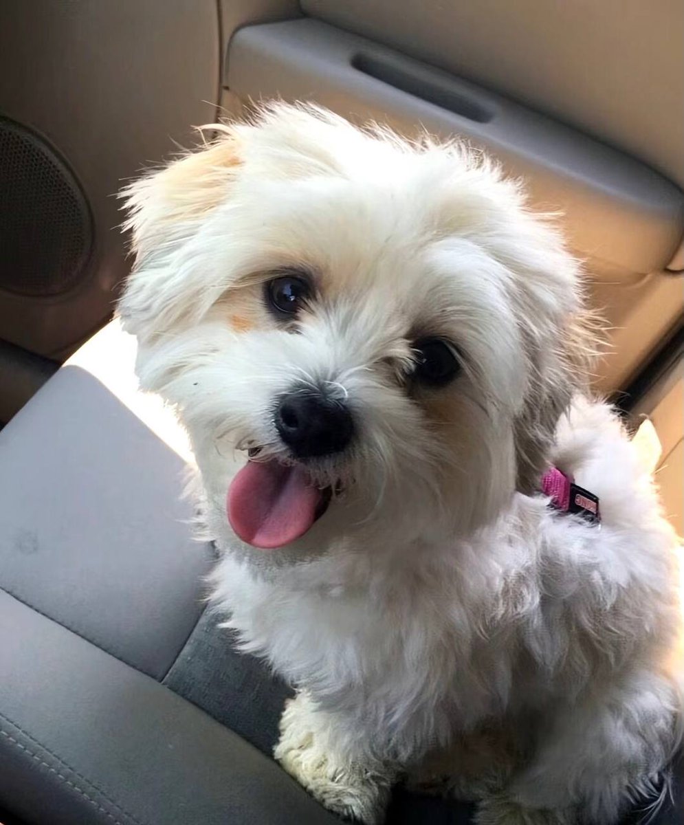 🎁🎄Amara tweet media