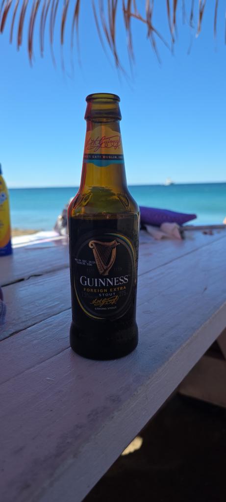 Boy oh boy my timeline does not like Somalies. I think I'm gonna keep drinking beer