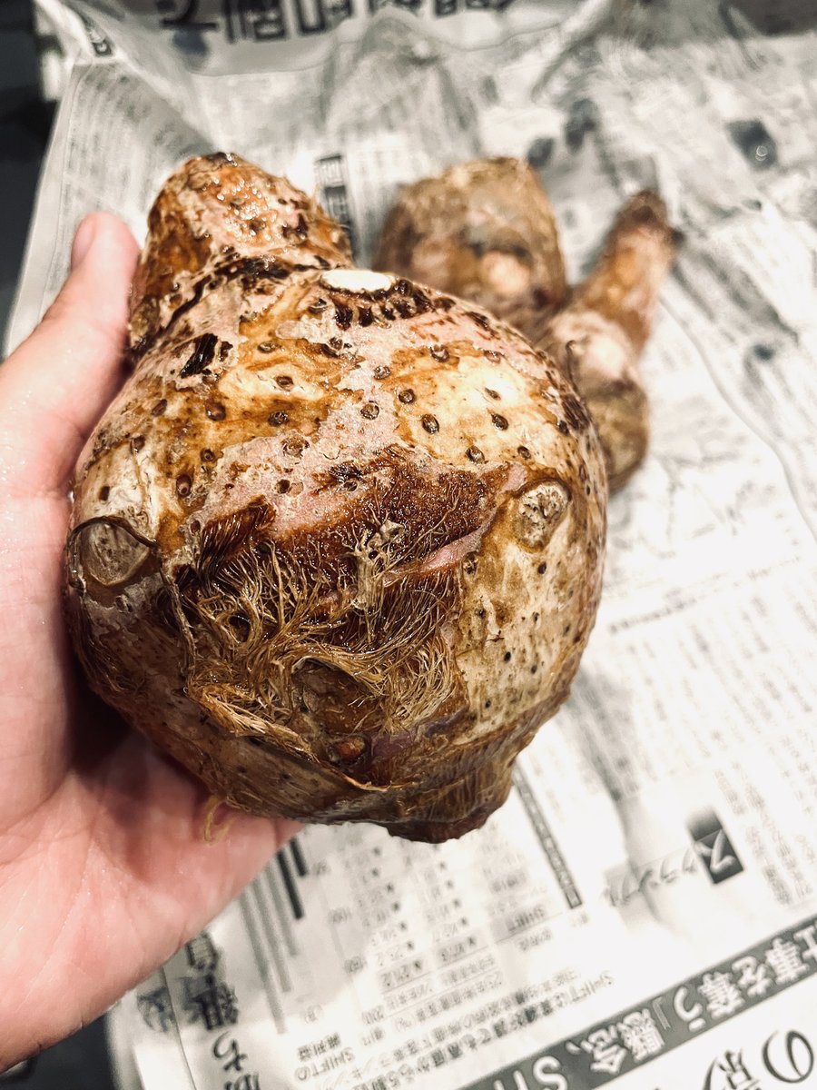 わー！デカい里芋だー！煮物にしよー！と興奮した勢いのまま素手で調理し、小一時間後悔😭