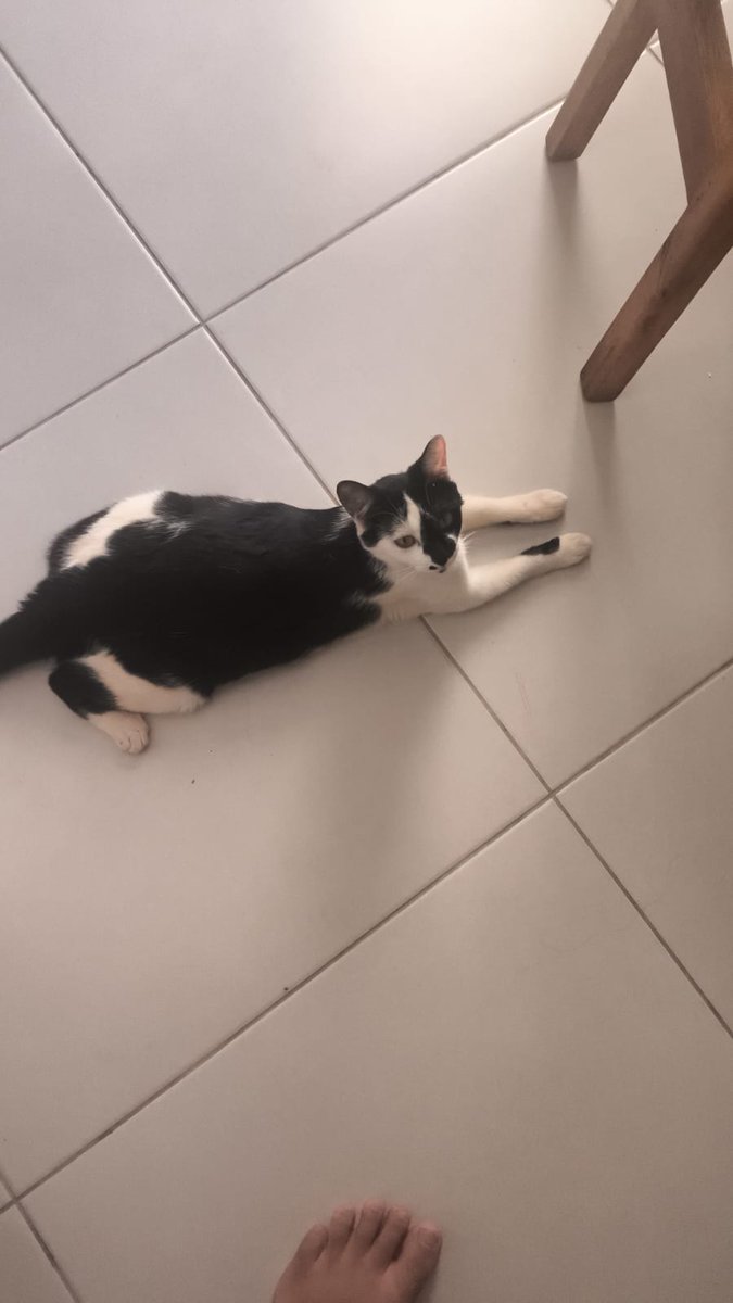 KCaserwr's tweet image. minha luaa , acho q vai criar daq uns dias ksksk