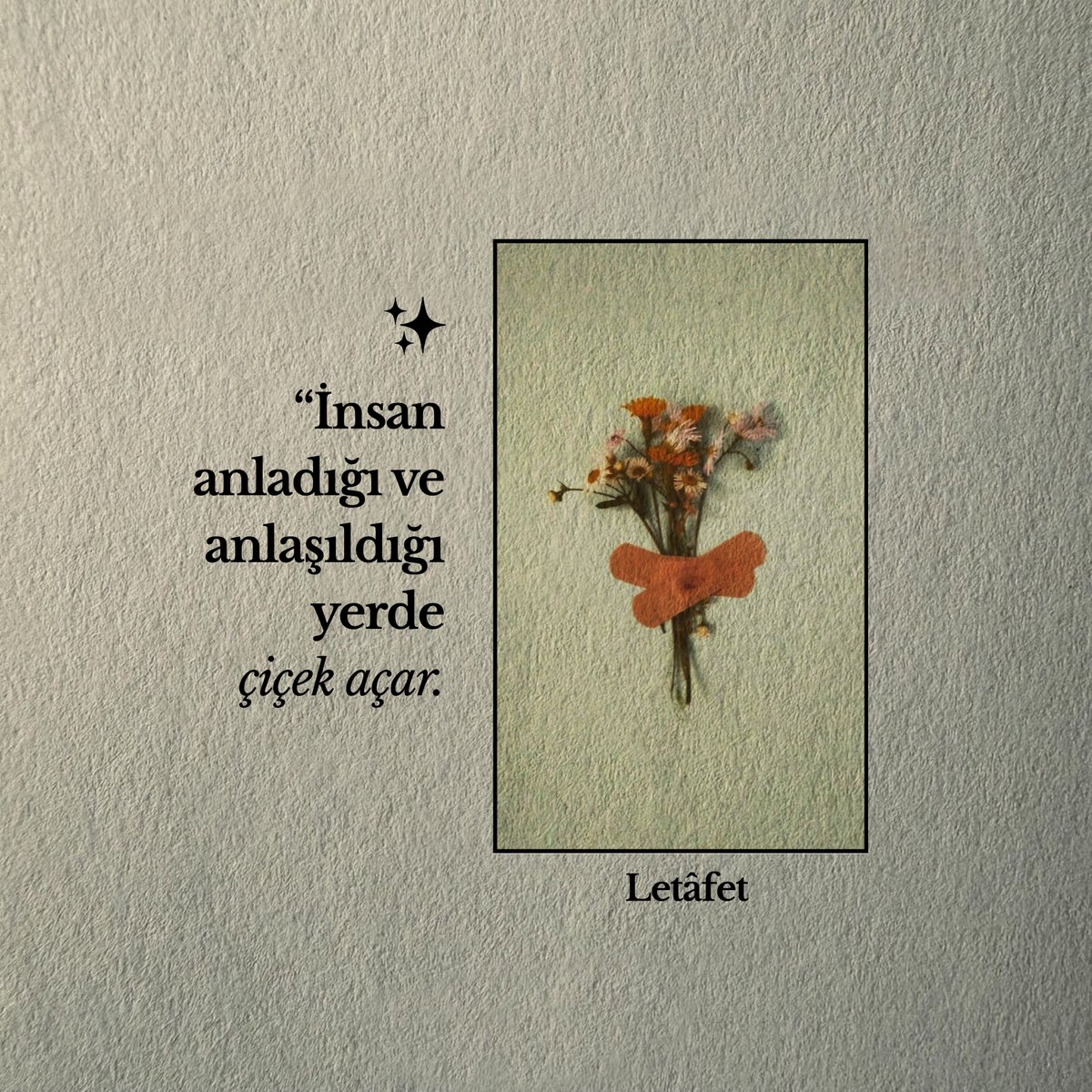 | Aralık, 29 🍁🍂