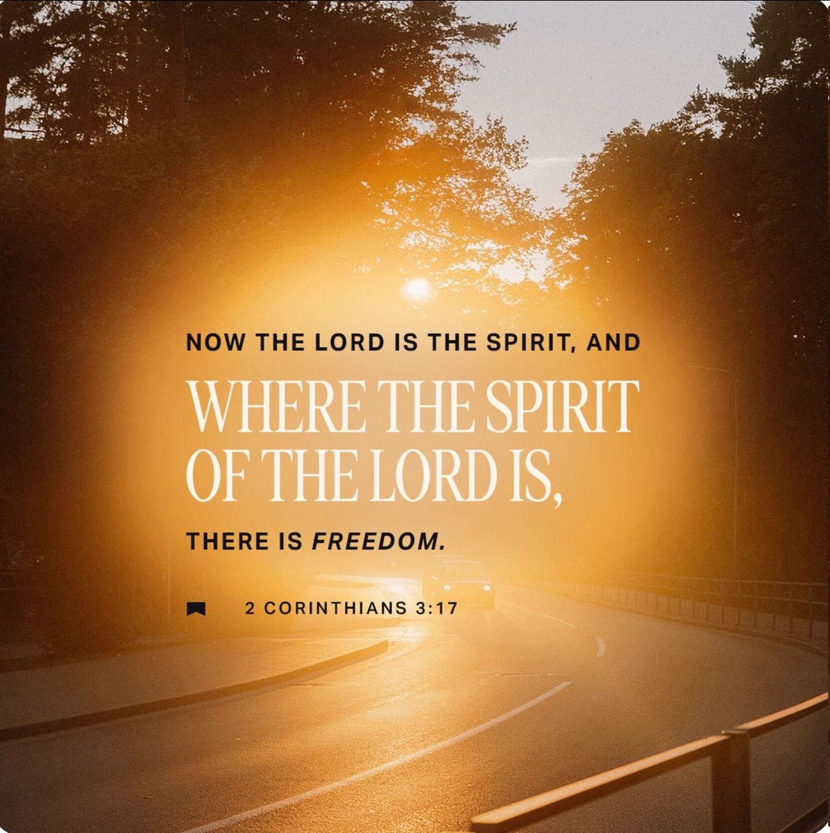 True freedom is walking in a relationship with Jesus Christ, not freedom to sin but freedom to serve the Lord. #Bible #Faith