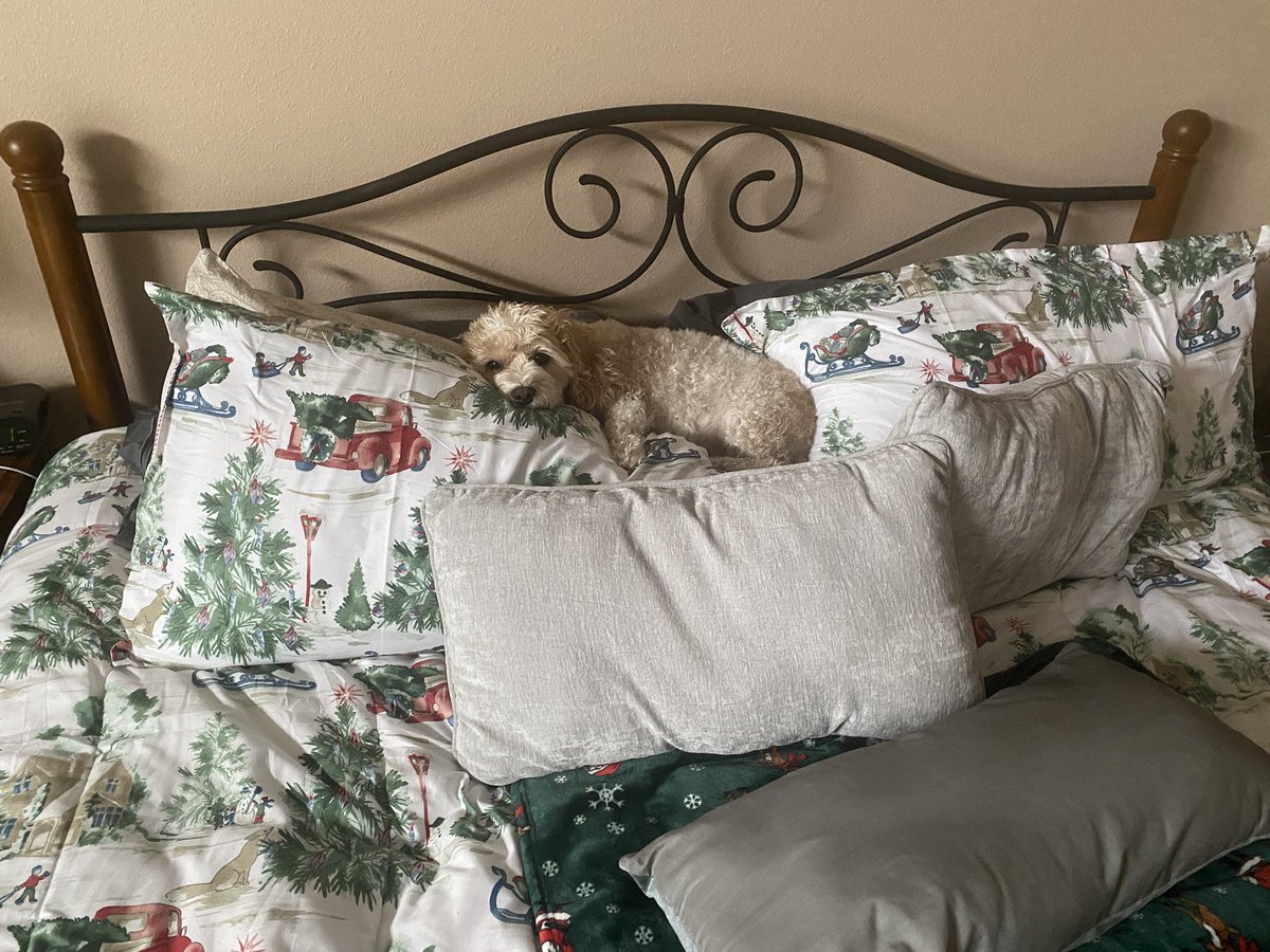 DougInTx tweet media