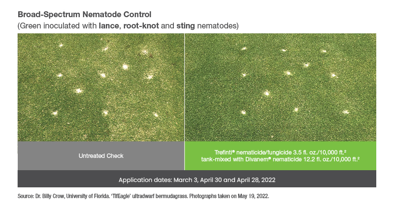 SyngentaTurf's tweet photo. Simplify nematode control with Trefinti nematicide/fungicide and save with the GreenTrust 365 INNOVATION EXTENSION thru Feb. 28, 2026. Tailor your application approach with broadcast OR spot treatments 👌