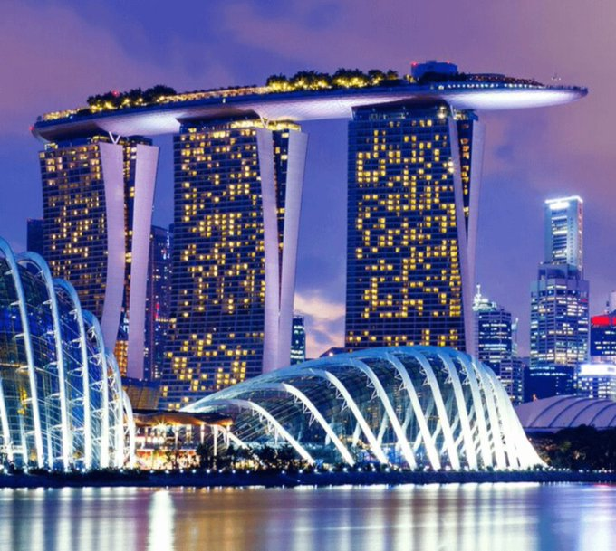 Patrick Sullivan Jr. tweet media