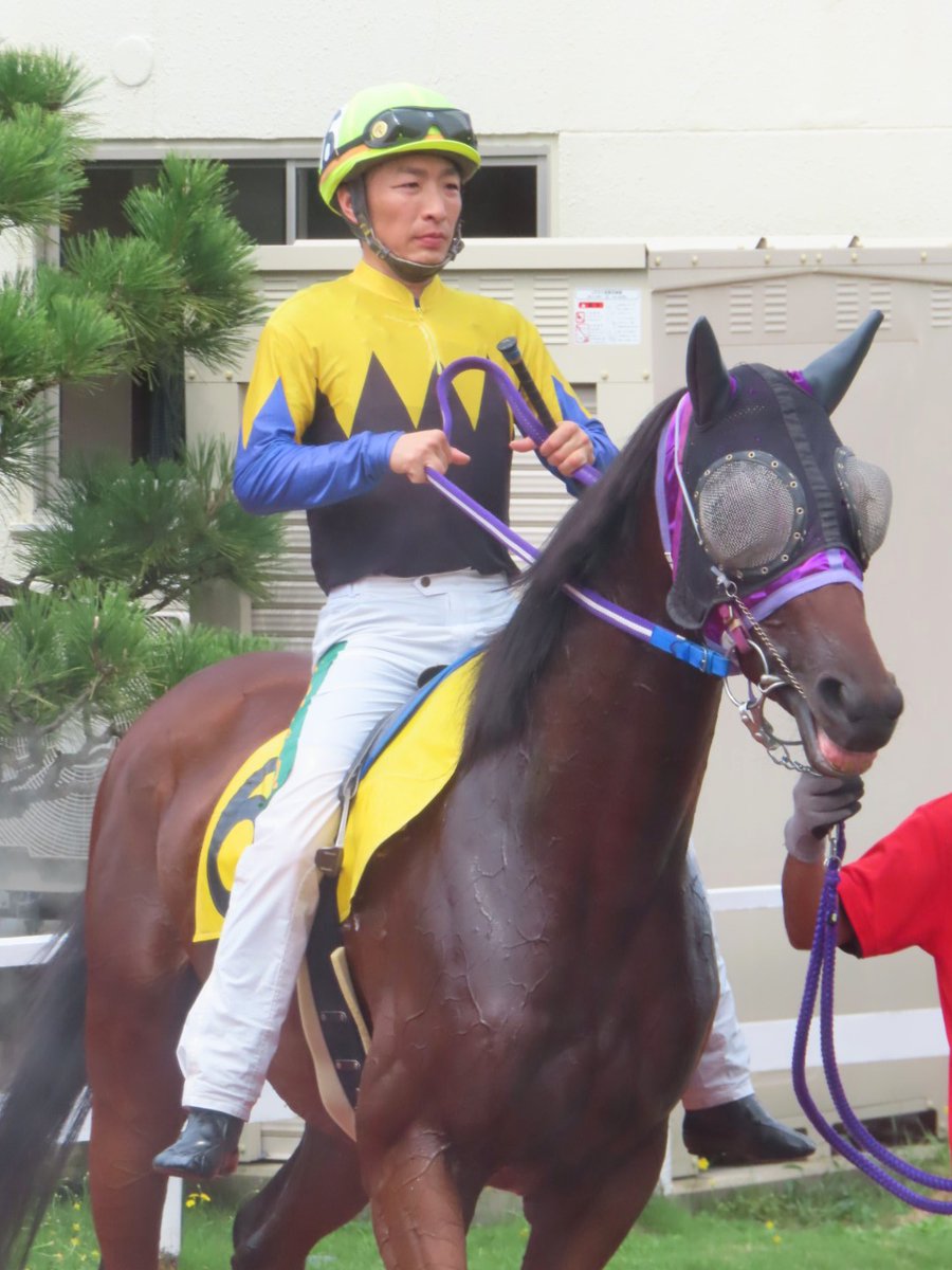 peko6048's tweet photo. ダイユウボンバー (牝)  
青柳騎手

この日がJRAからの転入初戦。
馬名の意味は冠名＋爆弾。 https://t.co/sjVdCXtBXa