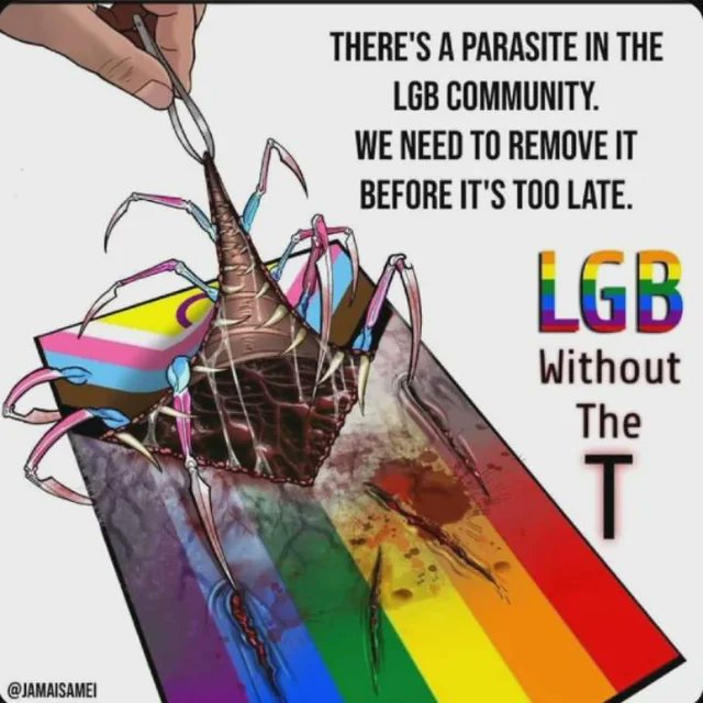 LGBTQIA2SPEDO's tweet photo. @TobeTelle93272 @MechaOrvo You're not even a real person https://t.co/Zn7t33AhSL
