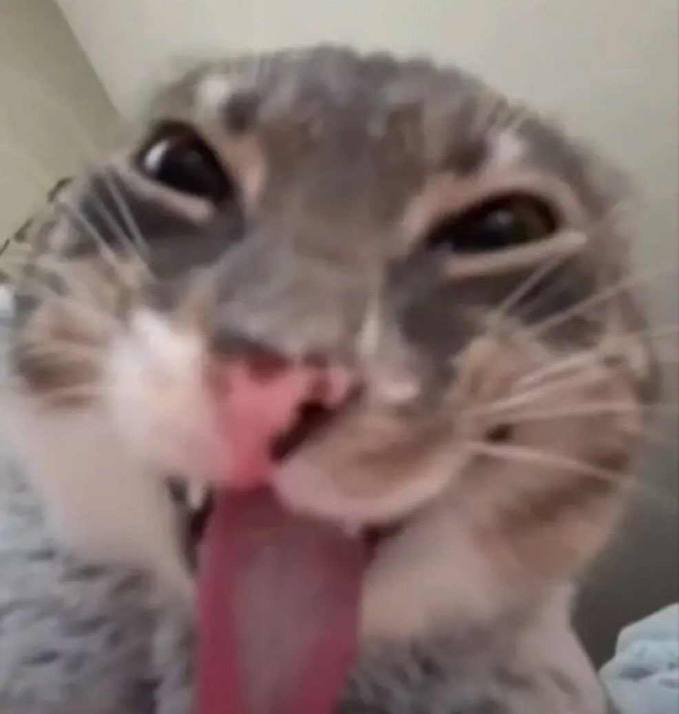 depois que o twitter ocultou os likes sou mais feliz saio dando like em tudo