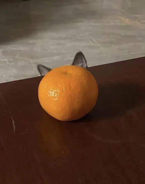 IrenaBuzarewicz's tweet image. December 29