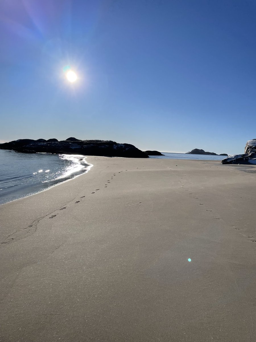 Karen Banfield Hare tweet media