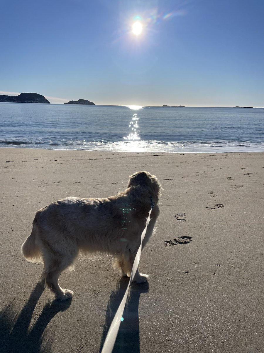 Karen Banfield Hare tweet media