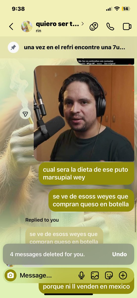 pinchi gato ijuesu pinfloi tweet media