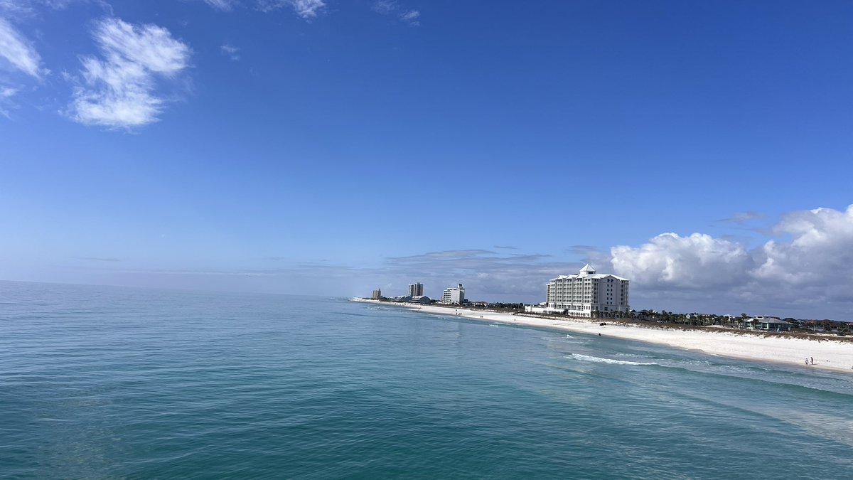 LVRANDALL's tweet image. Florida over the weekend! It was a beautiful trip! The weather was a gift in itself!