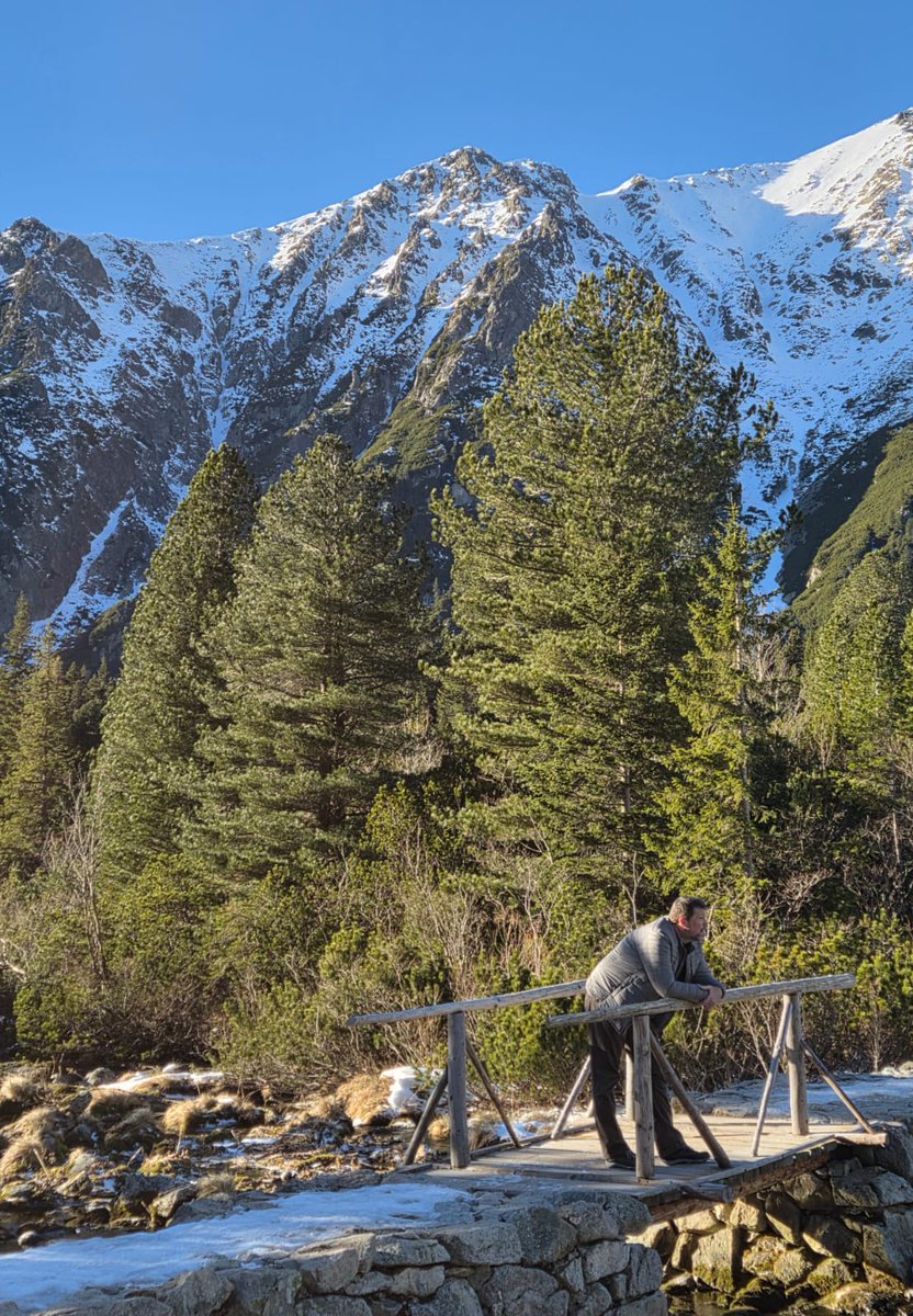 M.Repovsky tweet media