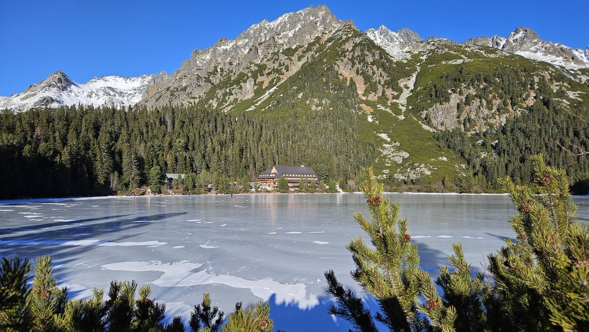 M.Repovsky tweet media