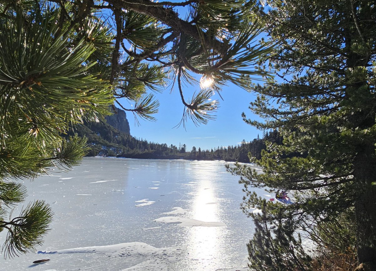 M.Repovsky tweet media