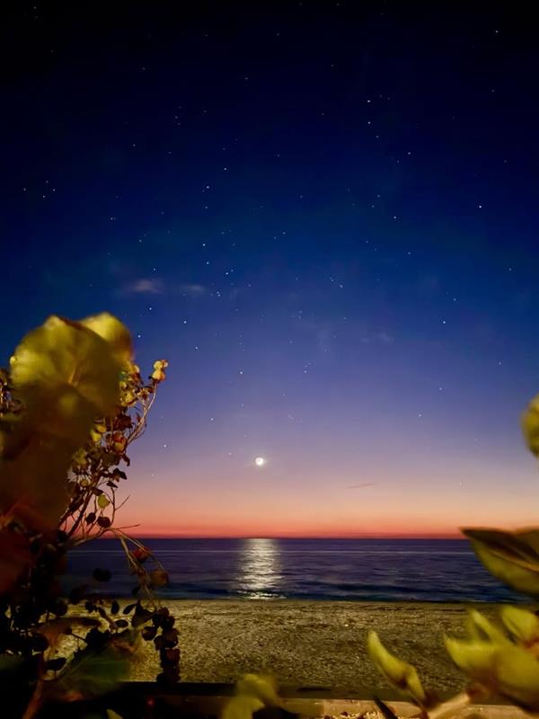Punta Gorda/Englewood Beach tweet media