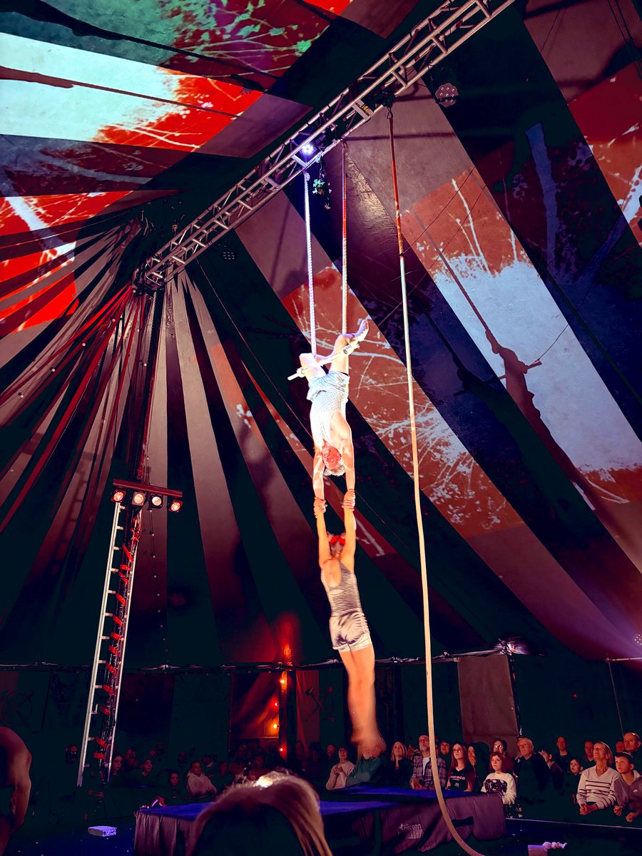 Joanna McGarry tweet media