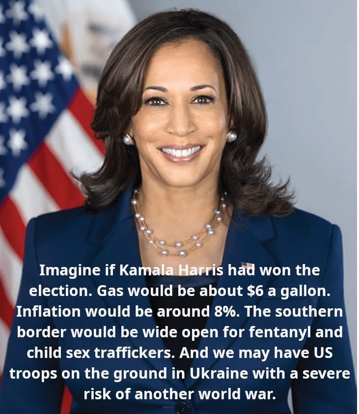 D Brook Wardle tweet media