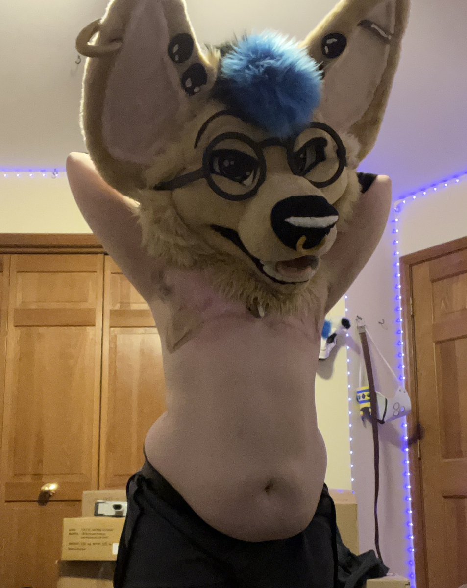 ChibiTheFloof's tweet image. I’m so tired of seeing club furry events only promoting jacked up or thin twinks at those events like where the hell is the diversity guy?

I wanna see more chonky dancers and pole dancers please! Give some more love to ALL body types like good lord :(