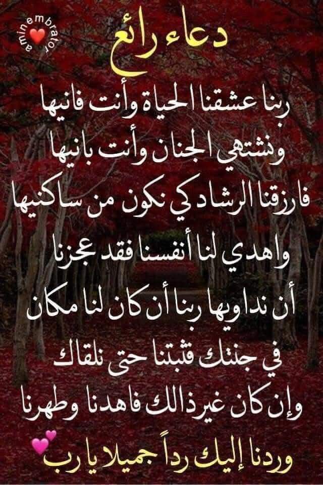 Om Mohamed (@moham88892804) on Twitter photo 