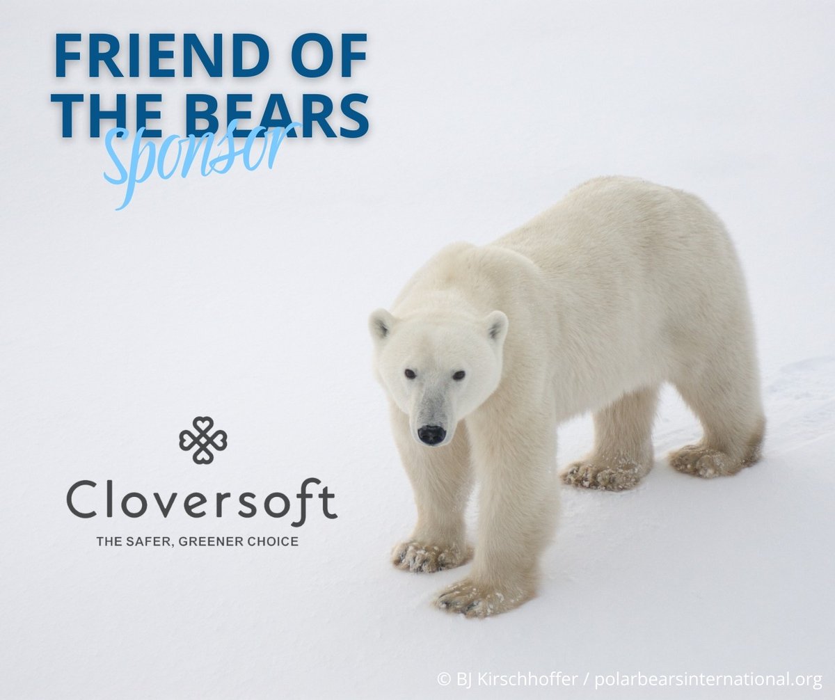 PolarBears's tweet photo. As 2025 comes to a close, we are filled with gratitude for those who support our work to conserve polar bears and the sea ice they depend on—thank you to our Friend of the Bears sponsor, @cloversoft! https://t.co/EtvLpdkRbZ