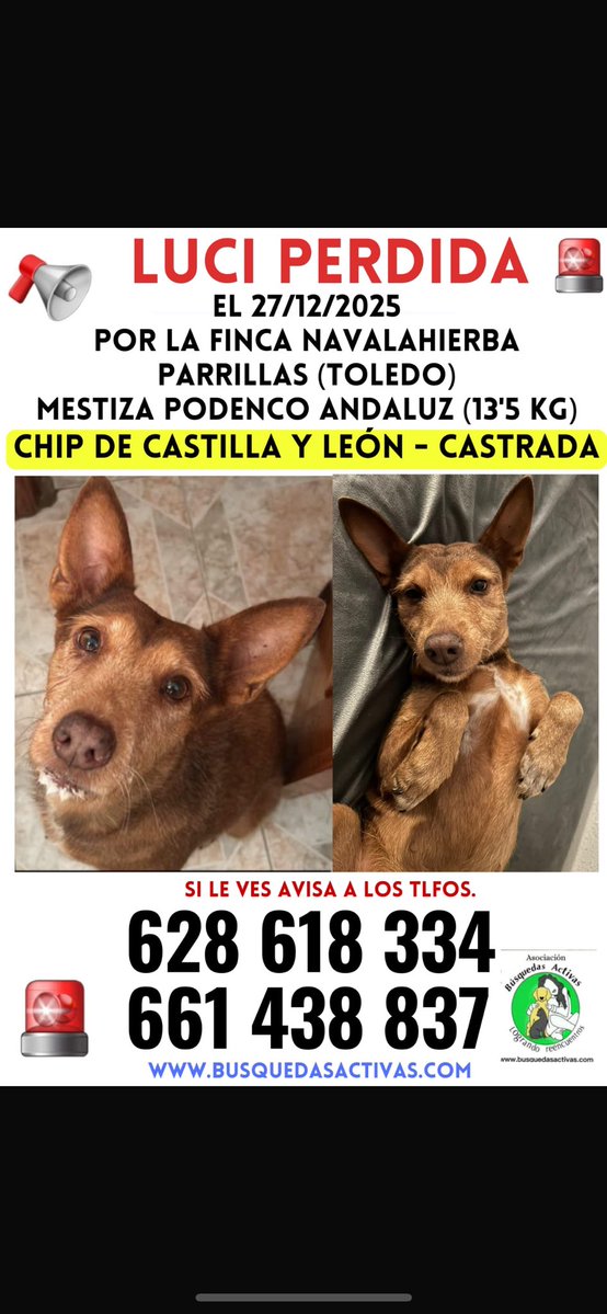 ainaragarciar_'s tweet image. 