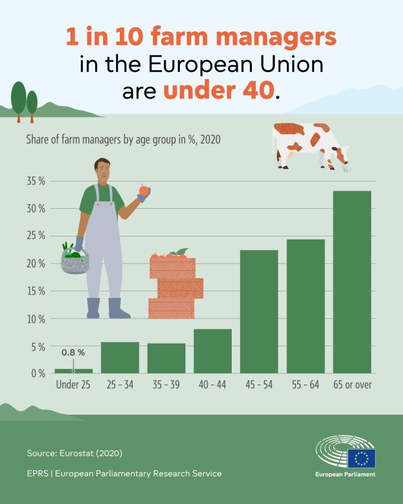 🚜 I giovani che si dedicano all'agricoltura incontrano spesso difficoltà, anche nell'accesso alla terra, ai finanziamenti e alle conoscenze.

Cosa sta facendo l'UE per sostenerli e rendere il settore più attrattivo?
📝 Leggi il briefing per scoprirlo:
lnkd.in/ei9U8fCk