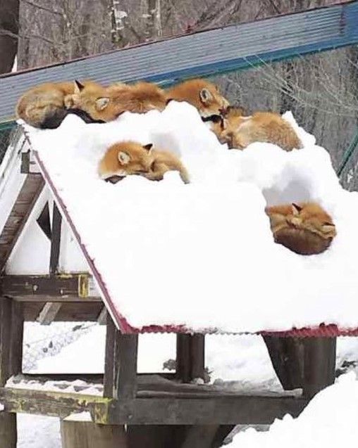 Group project but everyone chose sleeping