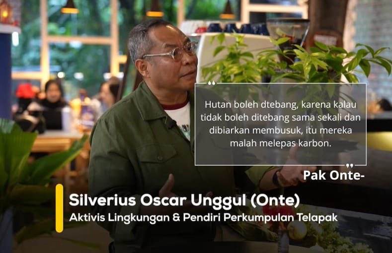 Hutan boleh ditebang dengan bijak, bukan dirusak tanpa kendali.