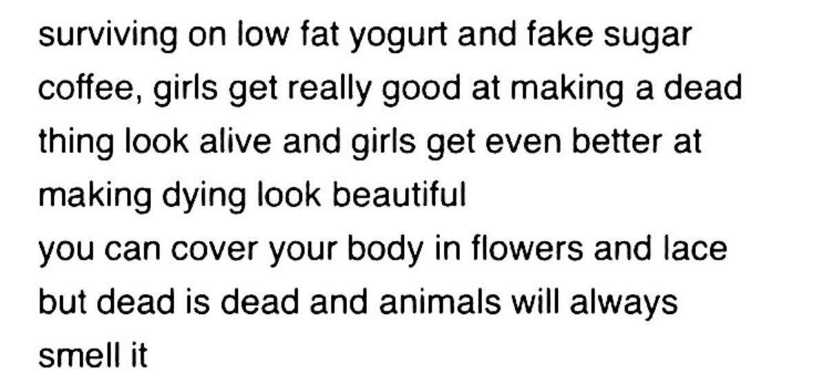 terrorful79301's tweet image. 