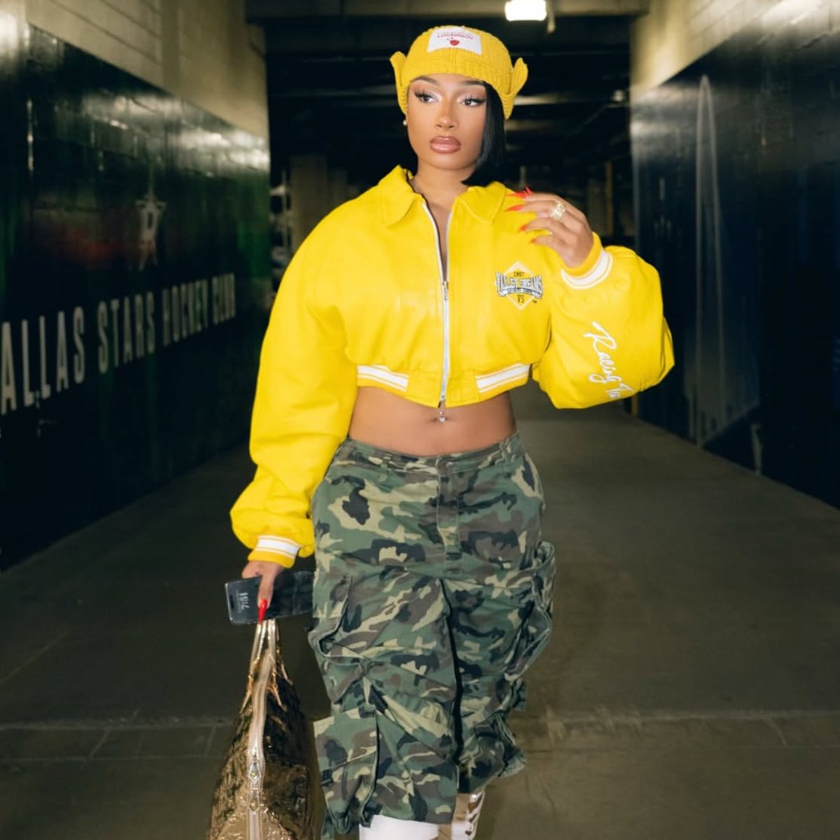 concertleaks's tweet image. Megan Thee Stallion retweeted a tweet asking for a Paramore / Hayley Williams collab on her upcoming album!