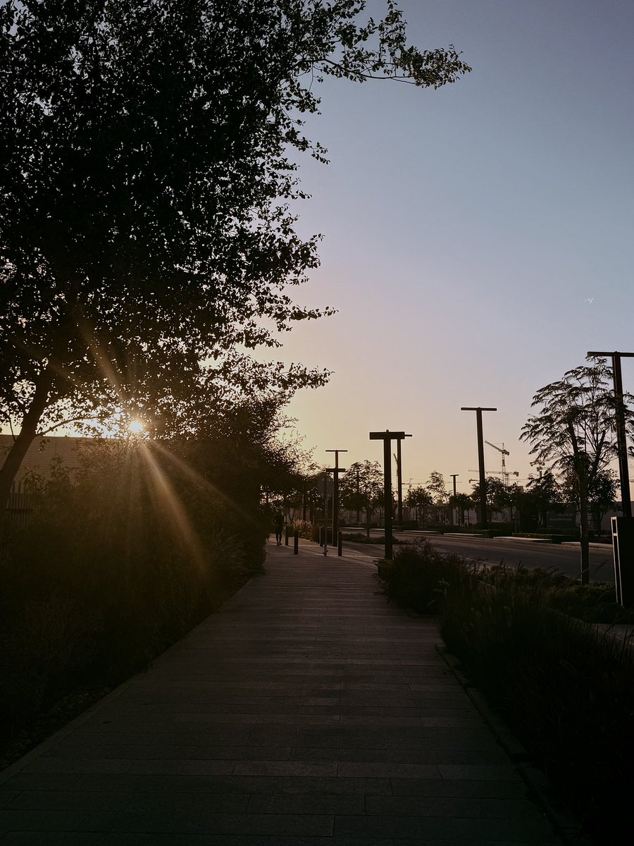 دانـه tweet media