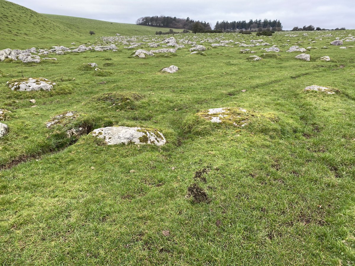 Richard Williams tweet media