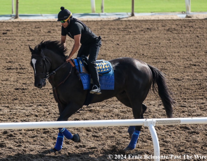 mike33024's tweet image. A whopping 106 beyer for Midland Money’s valiant effort in the Malibu Stakes yesterday 😱 🔥 🔥 🔥 🔥 

Big congrats to @claydoeski &amp;amp; the CSLR Racing Team on an incredible year:  Pilot Commander, Cash Call, Silent Law all won graded stakes in 2025 with Iron Orchard taking down a…