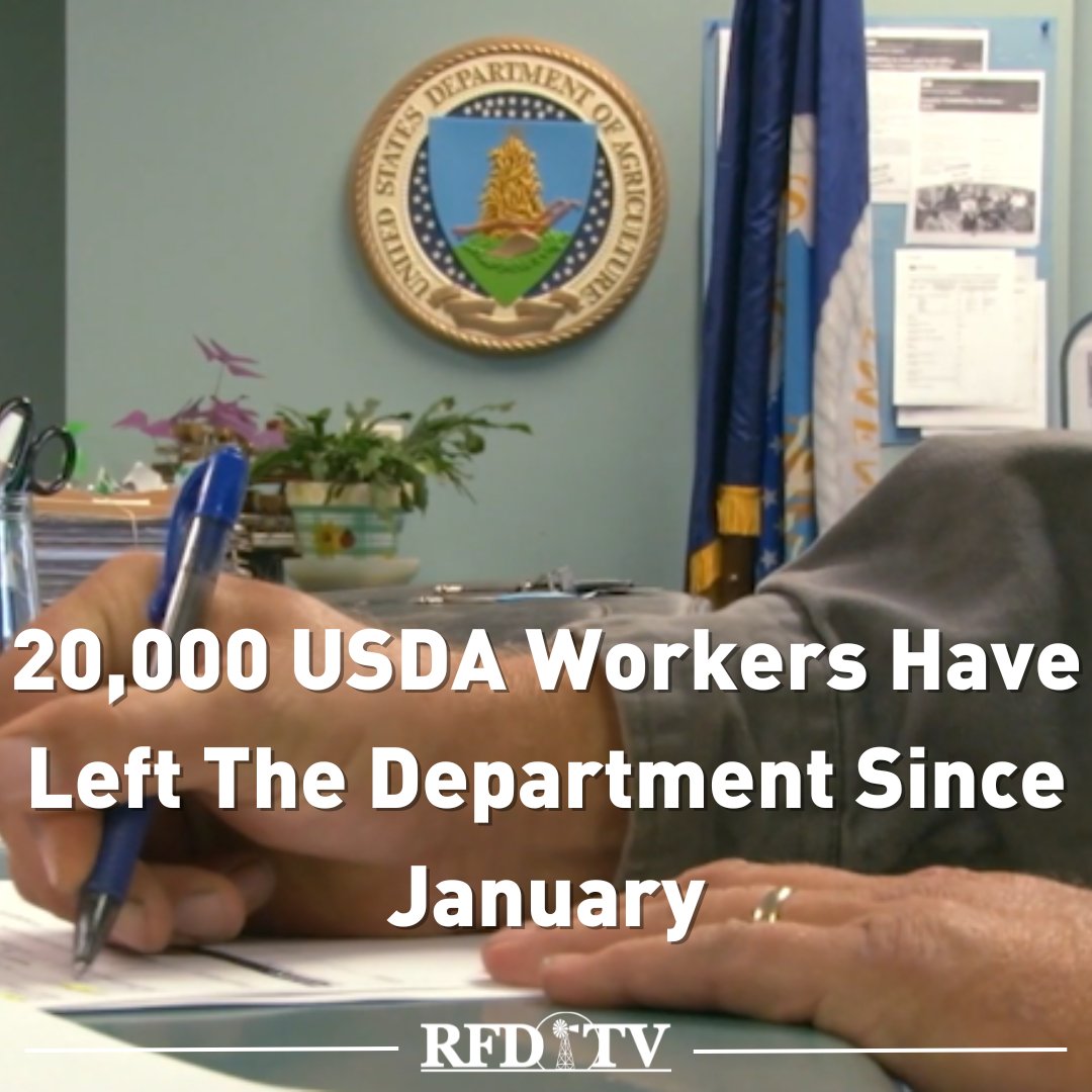 OfficialRFDTV's tweet photo. New numbers show around a fifth of USDA employees have left the department since January-- a little more than 20,000 workers.
Reuters reports around three-quarters of those left through the inventive program offered earlier this year.
#USDA #AgWorkers #AgNews #AgTwitter https://t.co/cDHZaswXqy