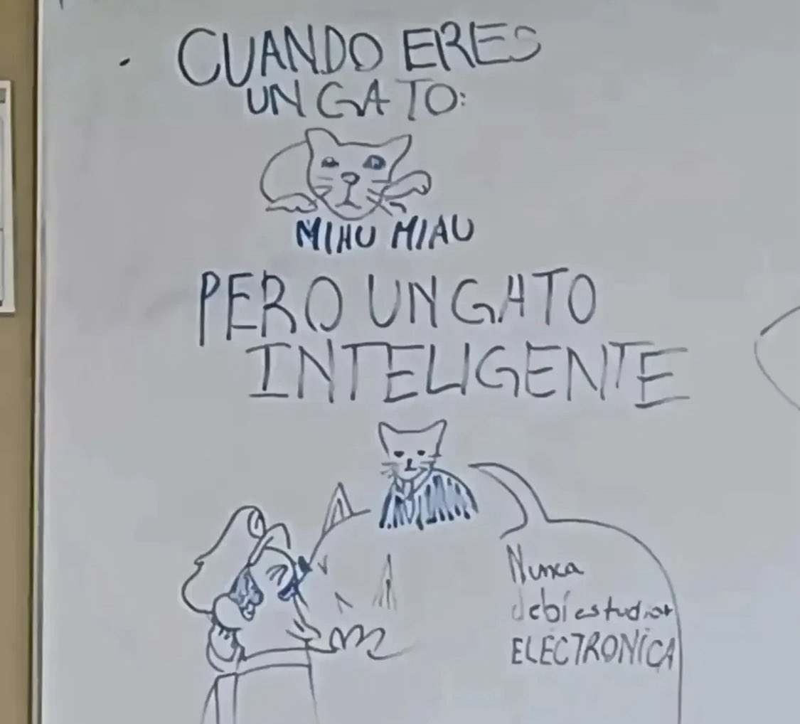 BFrog (@bfrog__) on Twitter photo 