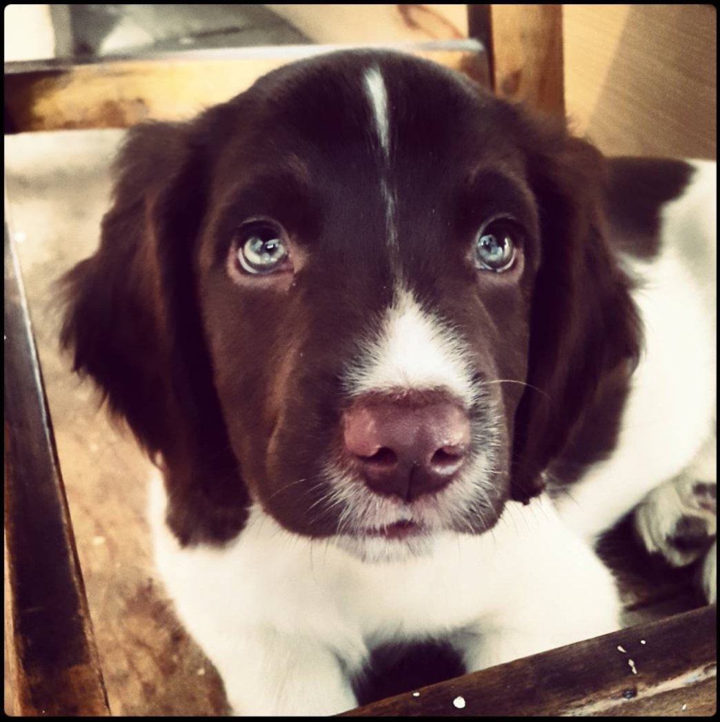 m🪐rganic tweet media