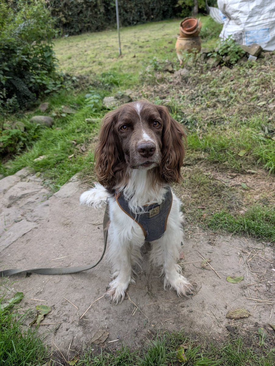 m🪐rganic tweet media