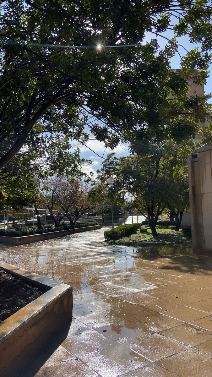 شتاء التكنو اجمل من لندن