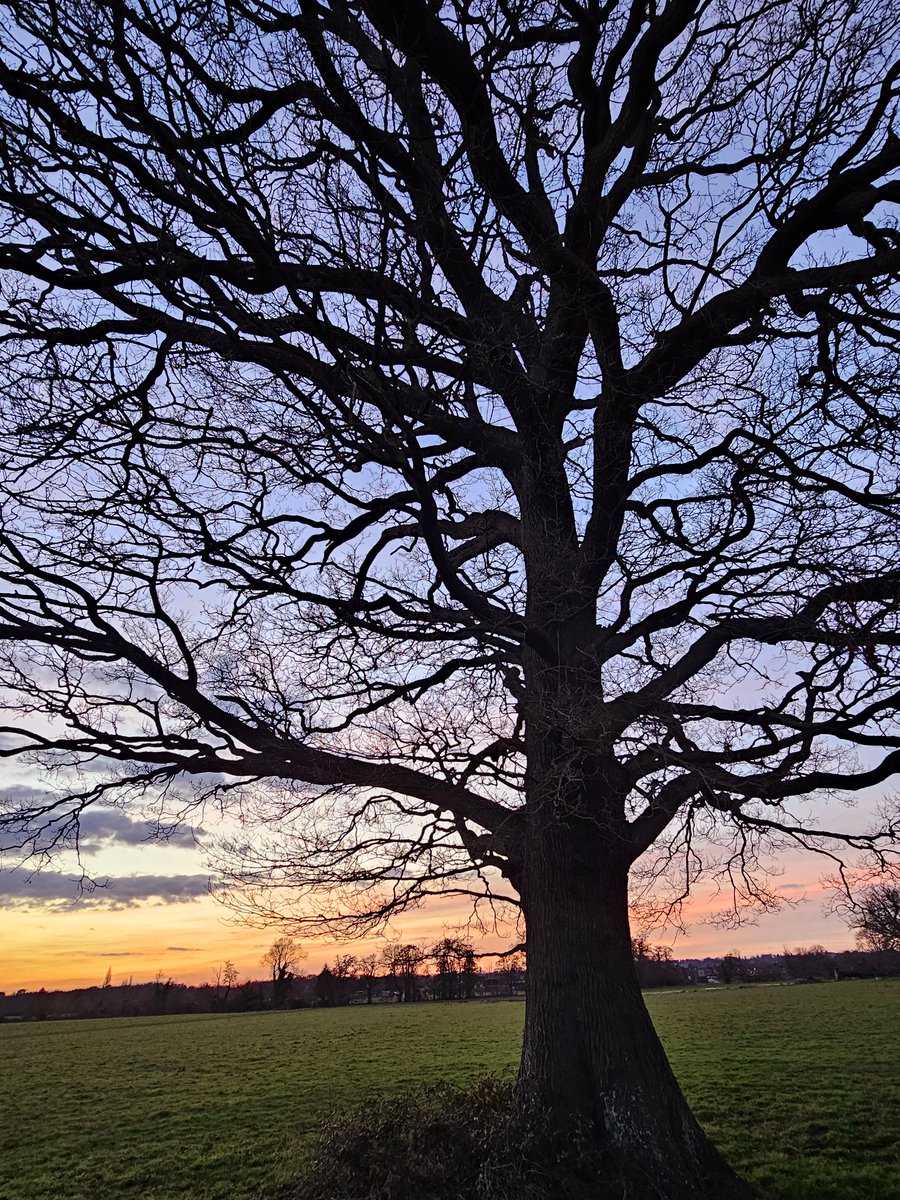 Christmas is a season, but kindness is a lifestyle. Keep it beyond December ✨️

#TreeClub 🌳