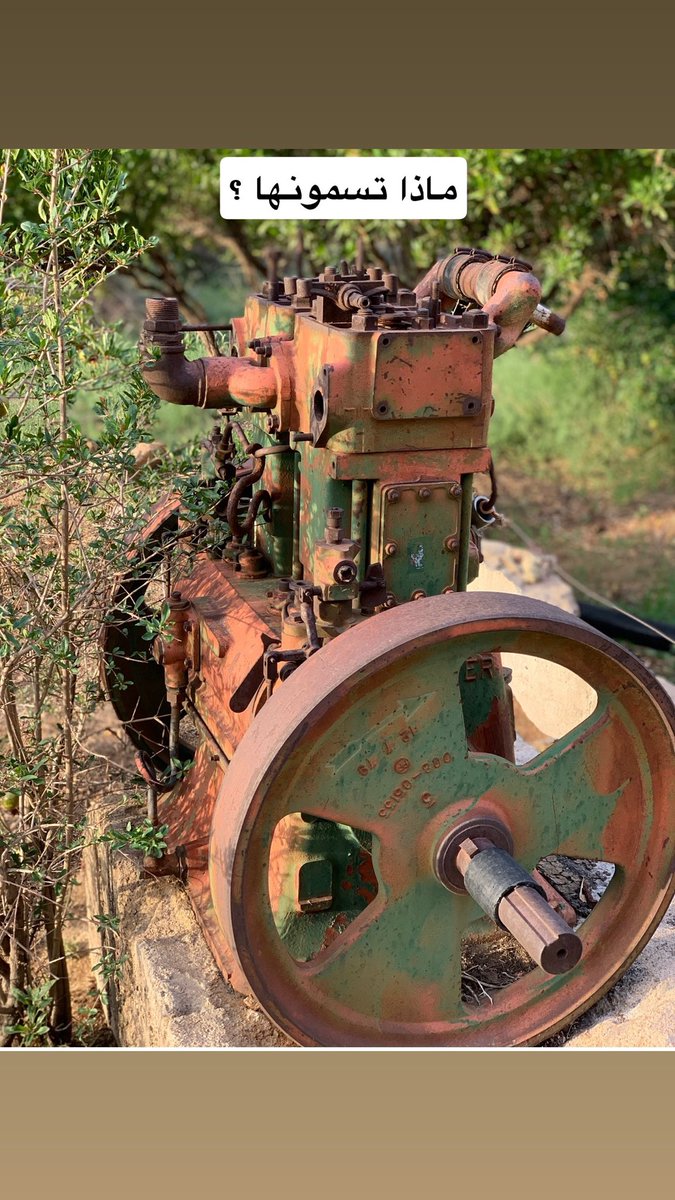 رحلات ونباتات (الطائف) (@taif2685) on Twitter photo 