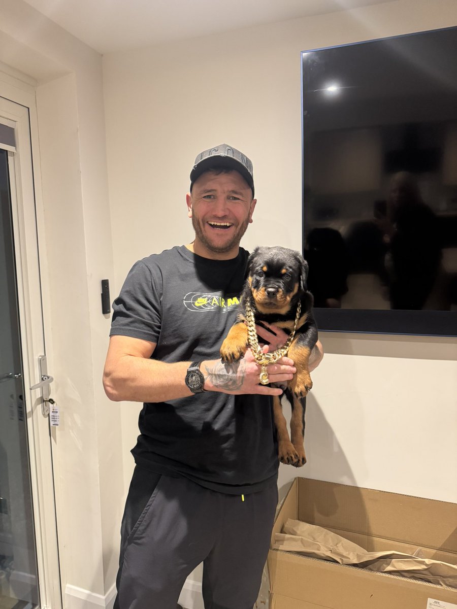 Getting my dog blinged up 😂