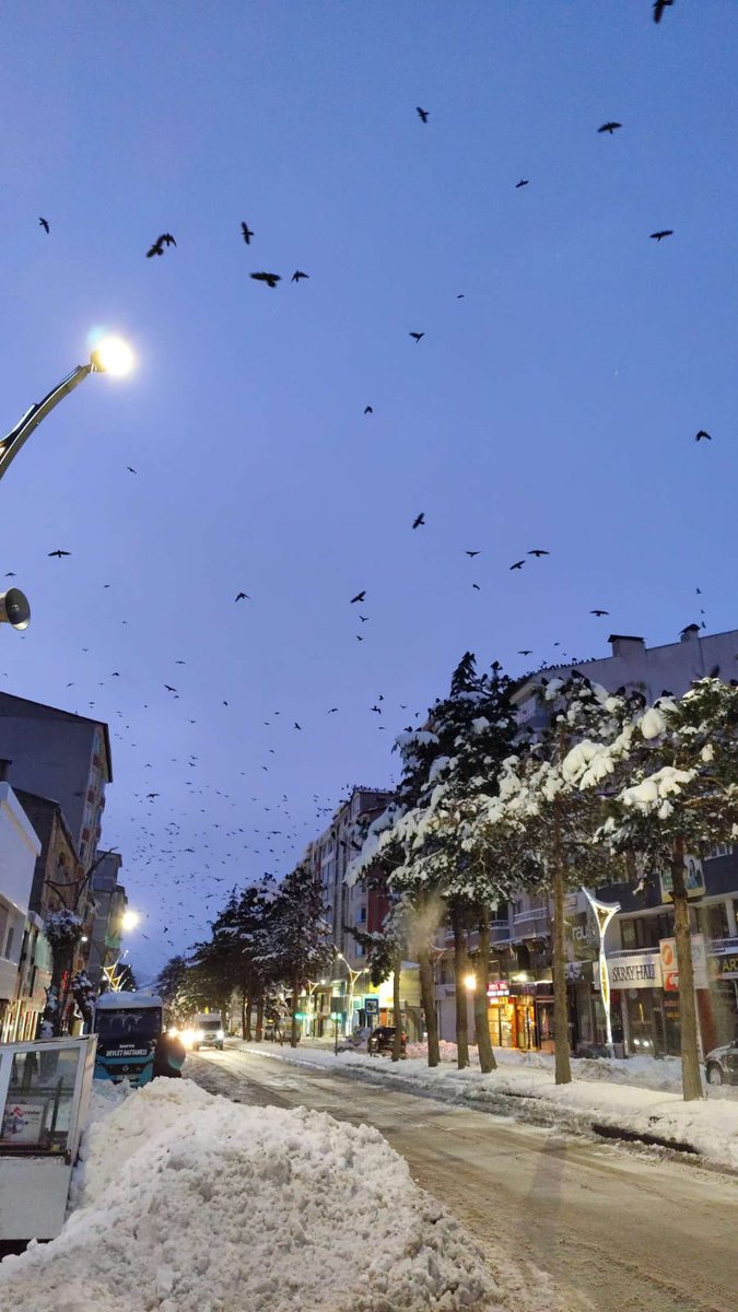 Bir yaz daha geçti hiçbir şey anlamadan
Oysa yapacak ne çok şey vardı 
Ve ne kadar az zaman 
Kış başlıyor iyi bak kendine!
#karyağışı #sstvi #kış #keşfet #Bitlis #Tatvan