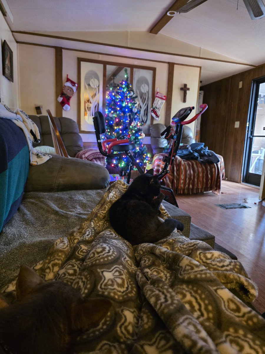 Tiffany, Joey, Bobbie, Bella & Shadow. tweet media