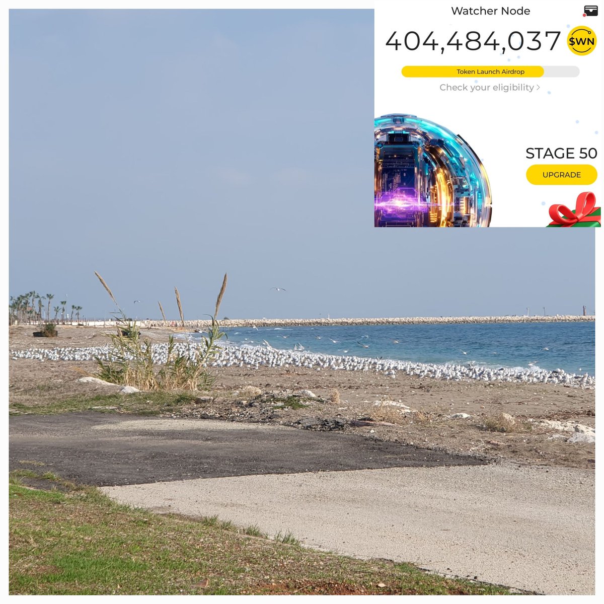 Launching Watcher  to secure <a href="/DeNetPro/">DeNet</a> storage network. Live from Mersin, Turkey! #WatchersEverywhere,